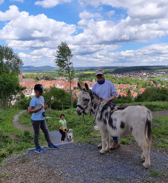 Deutsche-Eiche-Esel-Wanderung-Freude