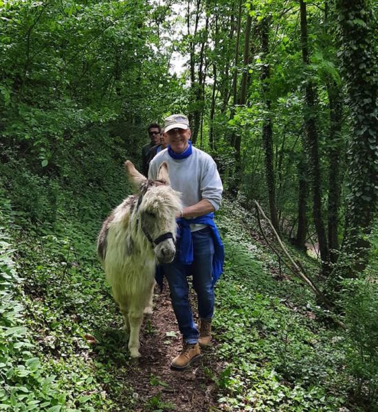 Deutsche-Eiche-Esel-Wanderung